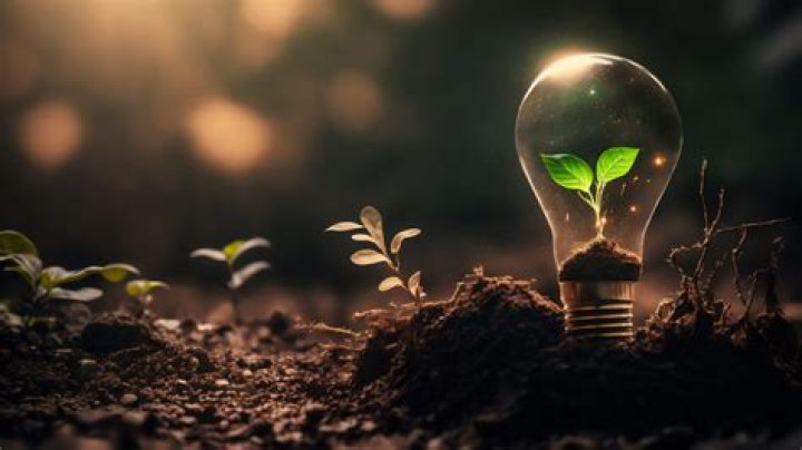 Innovations, Sustainability, And Lighting Expertise Revealed